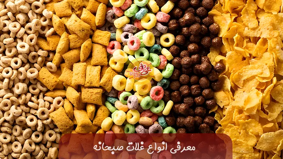 معرفی انواع غلات صبحانه - پخش شی پف